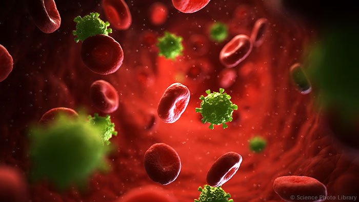 ֿעЧHIV-1